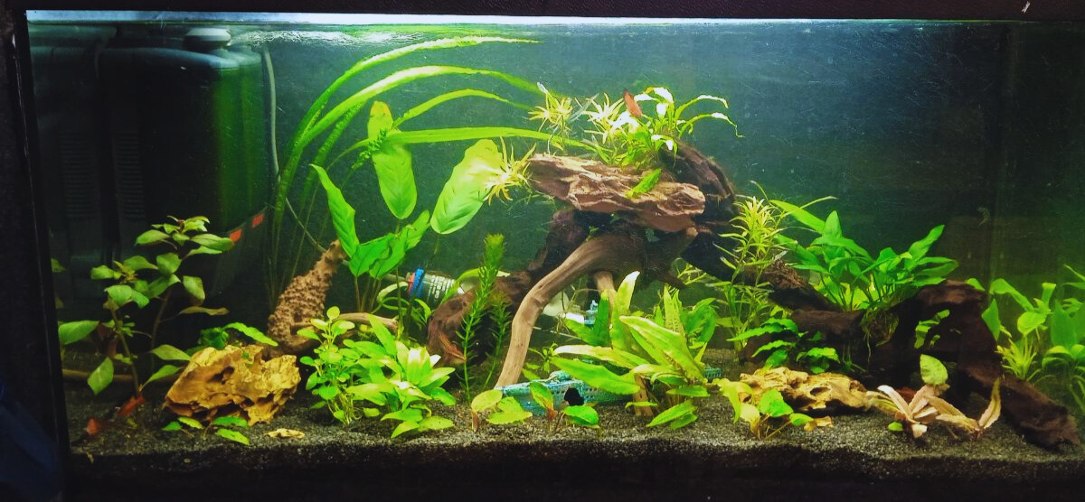 4 hónappal később