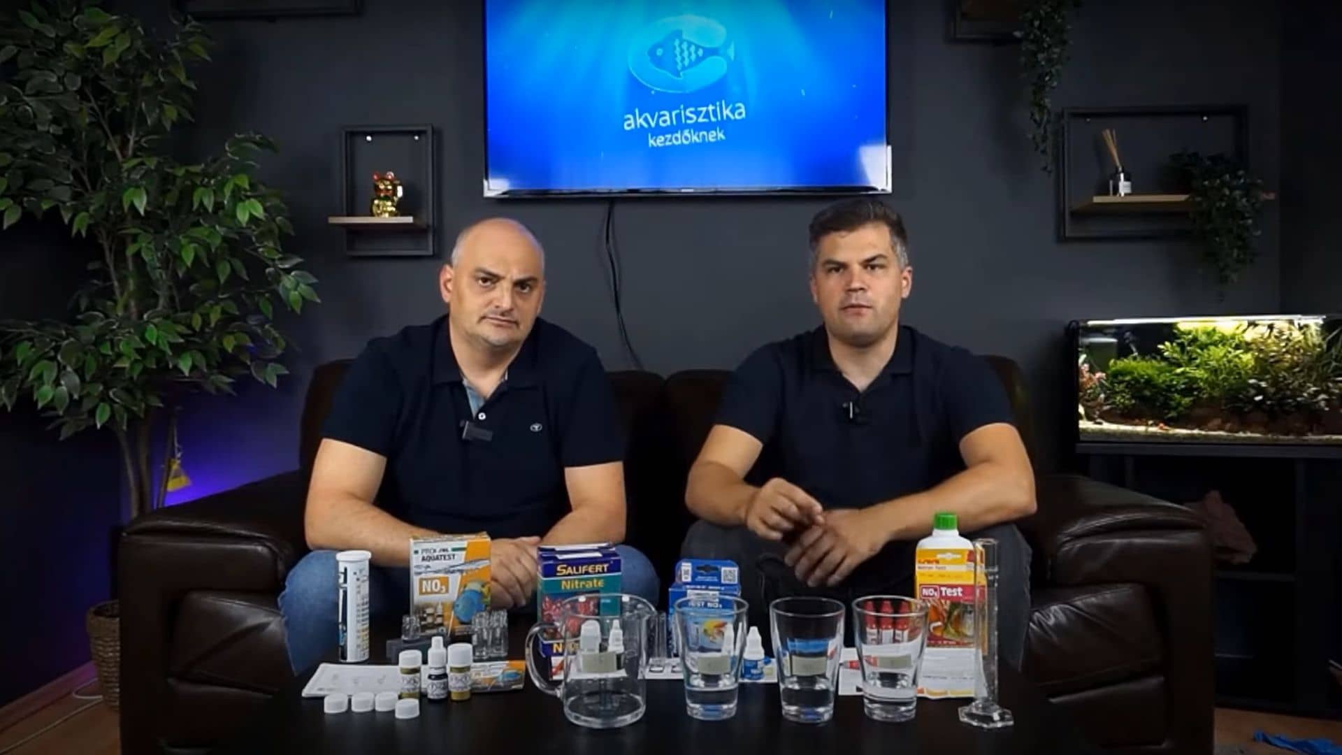 Akváriumi víztesztek felsorakoztatva