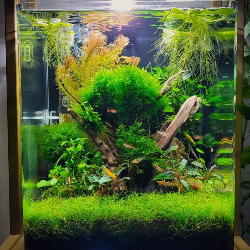 30 liter akvárium