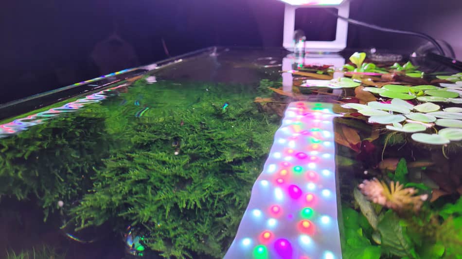 Többszínű LED akváriumi lámpa